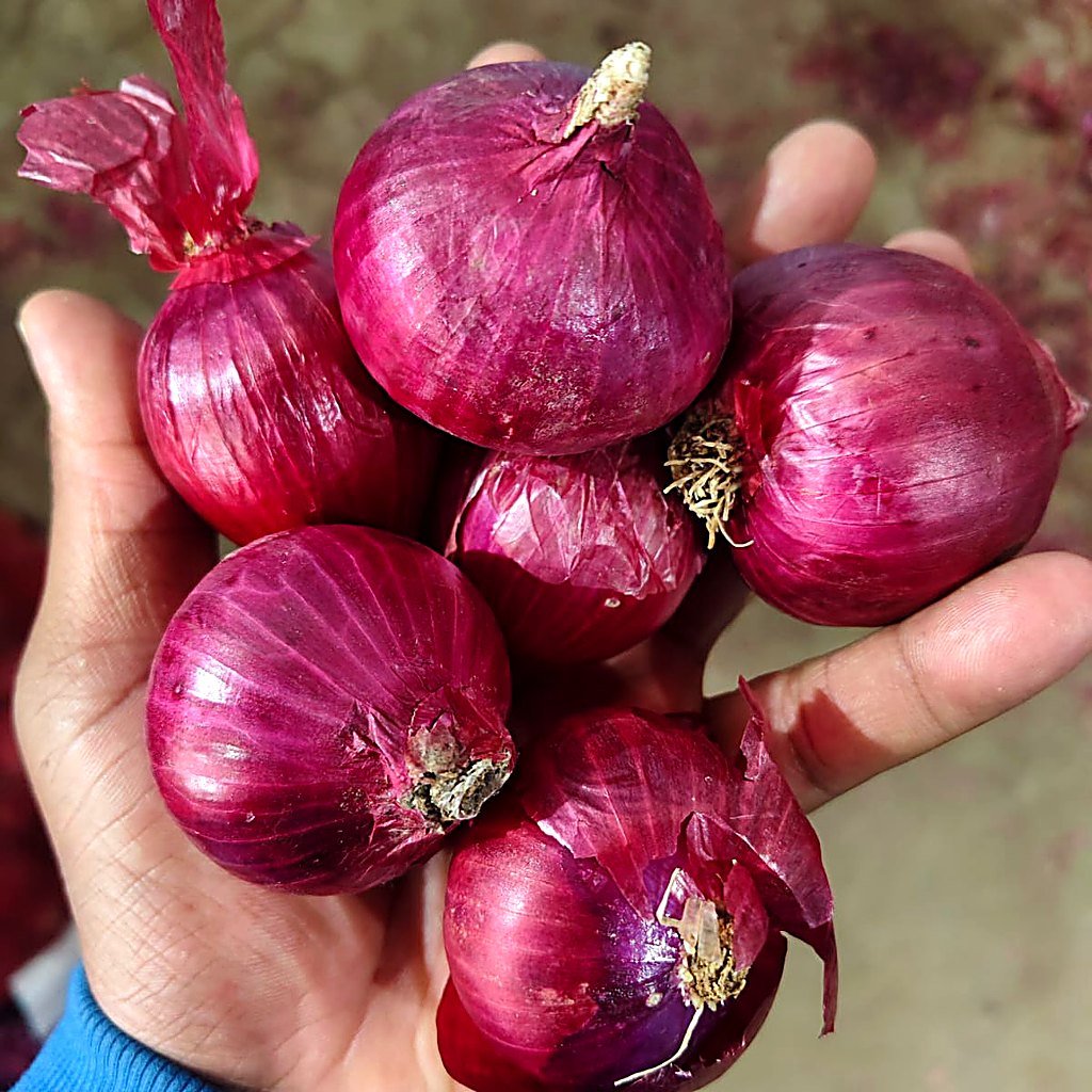 Red Onion